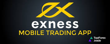 Maximize Your Trading Potential with d-bonus Exness 11 Maximize Your Trading Potential with d-bonus Exness 11